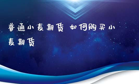 普通小麦期货 如何购买小麦期货