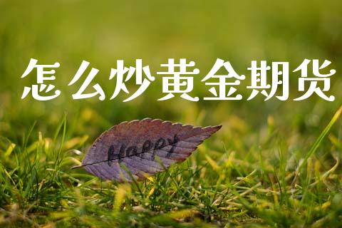 怎么炒黄金期货