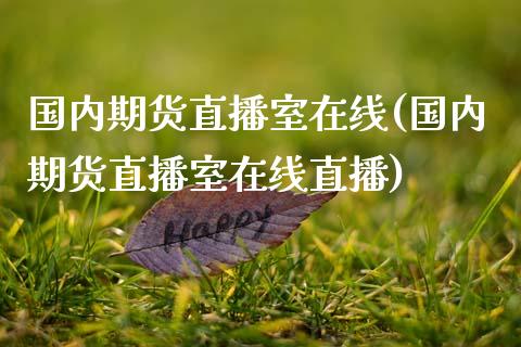 国内期货直播室在线(国内期货直播室在线直播)