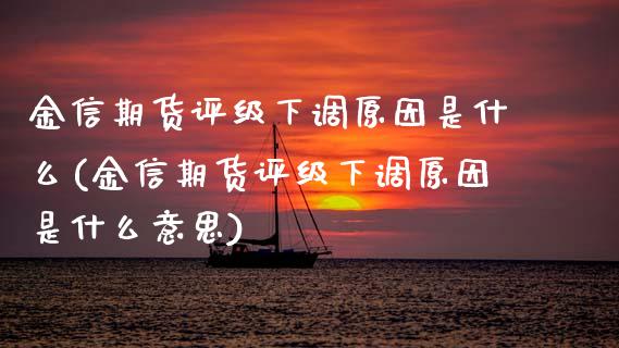 金信期货评级下调原因是什么(金信期货评级下调原因是什么意思)