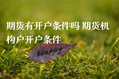 期货有开户条件吗 期货机构户开户条件