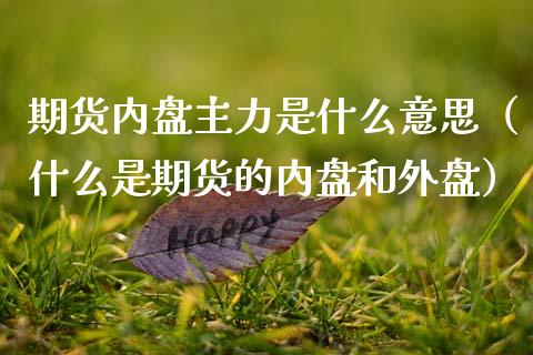 期货内盘主力是什么意思（什么是期货的内盘和外盘）