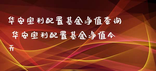 华安宝利配置基金净值查询 华安宝利配置基金净值今天
