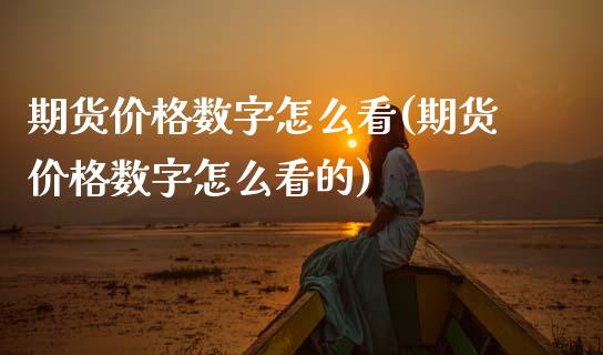 期货价格数字怎么看(期货价格数字怎么看的)