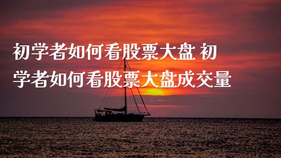 初学者如何看股票大盘 初学者如何看股票大盘成交量