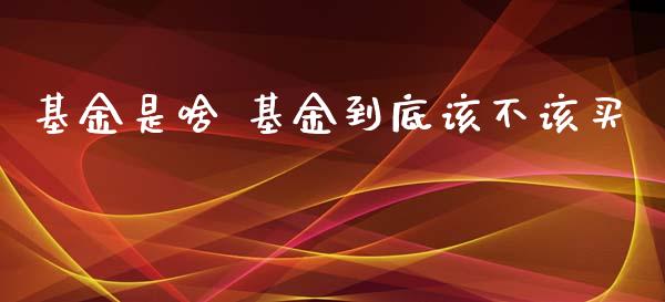 基金是啥 基金到底该不该买