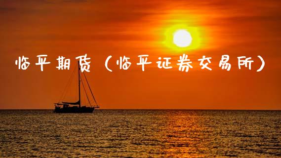 临平期货（临平证券交易所）