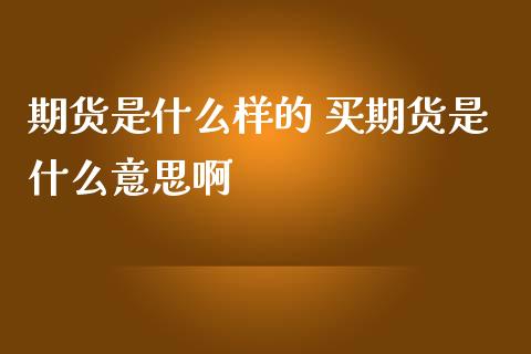 期货是什么样的 买期货是什么意思啊