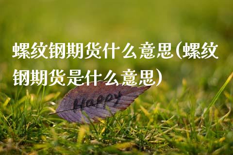 螺纹钢期货什么意思(螺纹钢期货是什么意思)