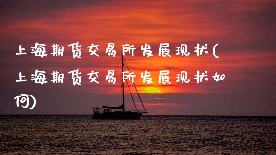 上海期货交易所发展现状(上海期货交易所发展现状如何)