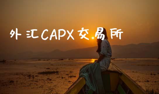外汇CAPX交易所