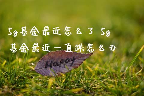 5g基金最近怎么了 5g基金最近一直跌怎么办