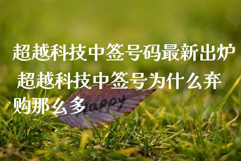 超越科技中签号码最新出炉 超越科技中签号为什么弃购那么多