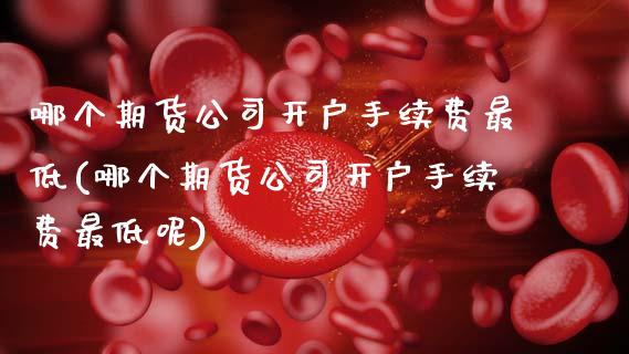 哪个期货公司开户手续费最低(哪个期货公司开户手续费最低呢)