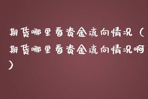 期货哪里看资金流向情况（期货哪里看资金流向情况啊）