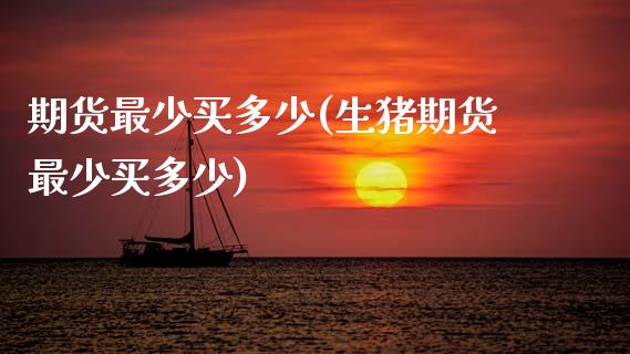 期货最少买多少(生猪期货最少买多少)
