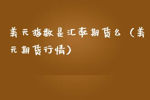 美元指数是汇率期货么（美元期货行情）