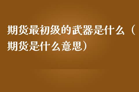 期货最初级的是什么（期货是什么意思）