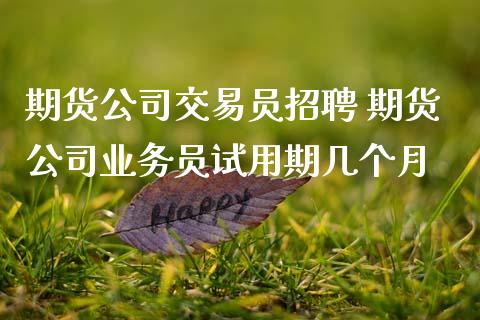 期货公司交易员招聘 期货公司业务员试用期几个月