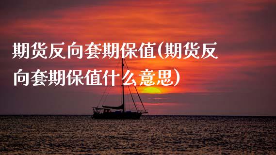 期货反向套期保值(期货反向套期保值什么意思)