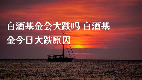 白酒基金会大跌吗 白酒基金今日大跌原因