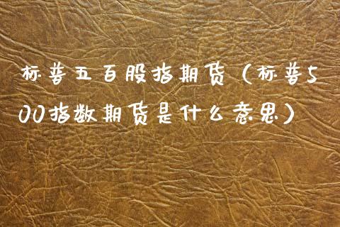 标普五百股指期货（标普500指数期货是什么意思）
