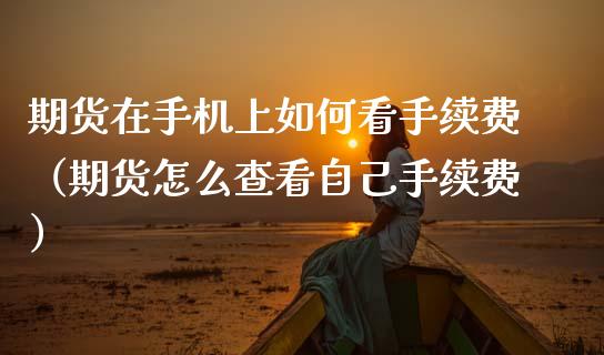 期货在手机上如何看手续费（期货怎么查看自己手续费）