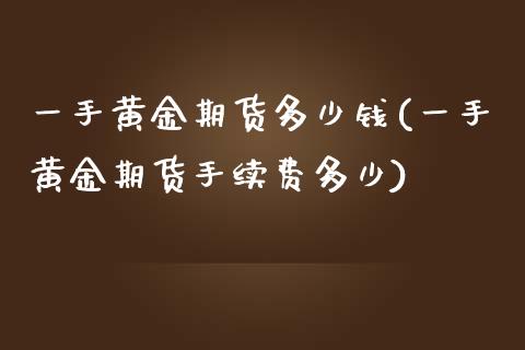一手黄金期货多少钱(一手黄金期货手续费多少)