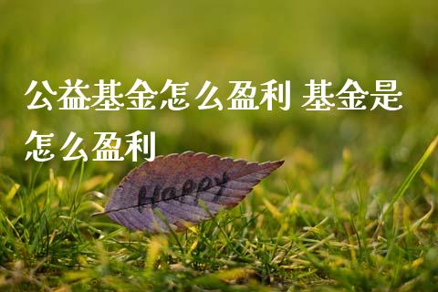 公益基金怎么盈利 基金是怎么盈利_基金理财_第1张_宇龙理财网 公益基金怎么盈利 基金是怎么盈利_https://www.dglong8.com_基金理财_第1张