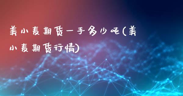 美小麦期货一手多少吨(美小麦期货行情)