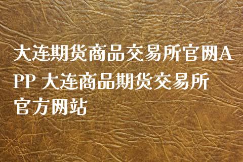 大连期货商品交易所APP 大连商品期货交易所官方网站