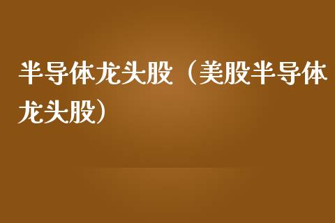 半导体龙头股（美股半导体龙头股）