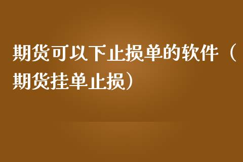 期货可以下止损单的软件（期货挂单止损）