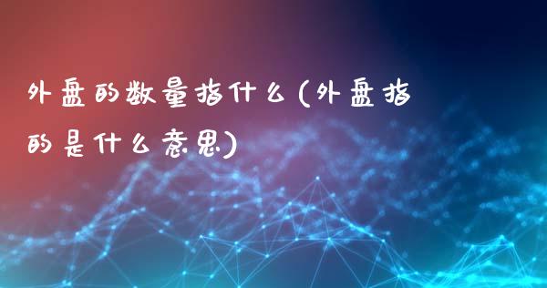 外盘的数量指什么(外盘指的是什么意思)