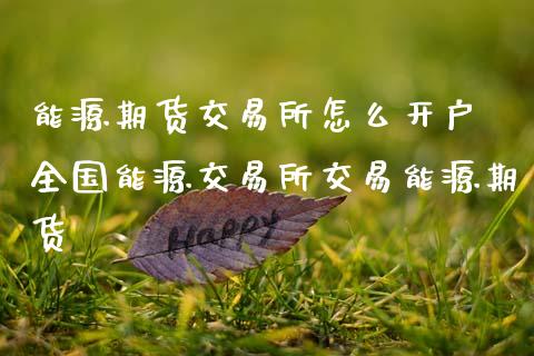 能源期货交易所怎么开户 全国能源交易所交易能源期货