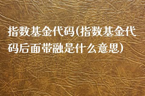 指数基金代码(指数基金代码后面带融是什么意思)