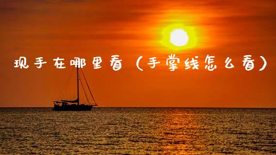 现手在哪里看（手掌线怎么看）