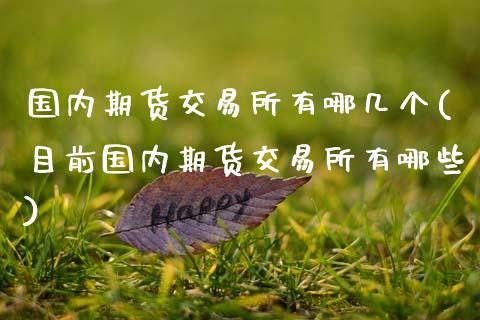国内期货交易所有哪几个(目前国内期货交易所有哪些)