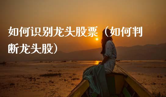 如何识别龙头股票（如何判断龙头股）
