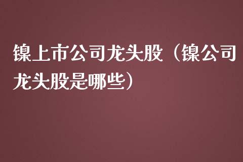 镍上市公司龙头股（镍公司龙头股是哪些）_https://www.dglong8.com_财经要闻_第1张