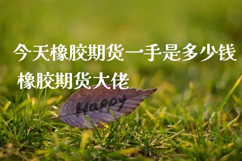 今天橡胶期货一手是多少钱 橡胶期货大佬