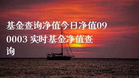 基金查询净值今日净值090003 实时基金净值查询_https://www.dglong8.com_基金理财_第1张