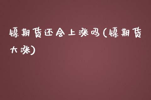 镍期货还会上涨吗(镍期货大涨)