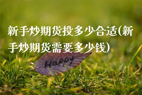 新手炒期货投多少合适(新手炒期货需要多少钱)