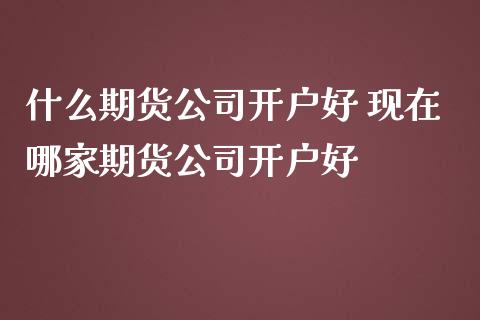 什么期货公司开户好 现在哪家期货公司开户好