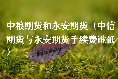 期货和期货（中信期货与期货手续费谁低）