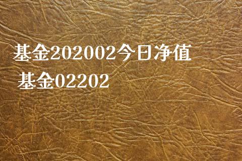 基金202002今日净值 基金02202