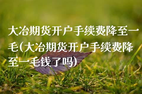 大冶期货开户手续费降至一毛(大冶期货开户手续费降至一毛钱了吗)