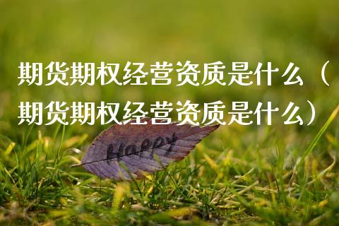 期货期权经营资质是什么（期货期权经营资质是什么）