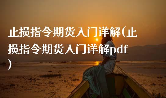 止损指令期货入门详解(止损指令期货入门详解pdf)